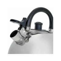 Чайник Webber BE-0528 из нержавеющей стали 4.5 л 12 0R-00006103