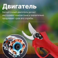 Аккумуляторный секатор WORTEX CBS 2535 ALL1 0329111
