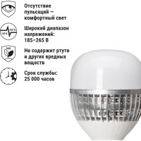 Светодиодная лампа TDM ELECTRIC T-100 Вт-230 В-6500 К–E27 150x253 мм НАРОДНАЯ SQ0340-1588