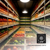 Светодиодная лампа TDM ELECTRIC T-100 Вт-230 В-6500 К–E27 150x253 мм НАРОДНАЯ SQ0340-1588