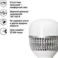 Лампа светодиодная T-150 Вт-230 В-6500 К–E27 170x295 мм НАРОДНАЯ TDM ELECTRIC SQ0340-1641