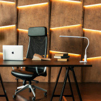 Светильник настольный светодиодный на струбцине TLD-572 White/LED/500Lm/4500K/Dimmer Uniel UL-00008663