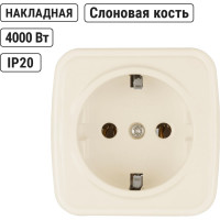 Розетка TDM ELECTRIC слоновая кость 2П+З открытой установки IP20 16А, серия "Дача" Народная SQ1824-0021