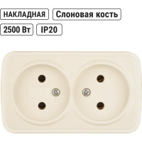 Розетка двойная TDM ELECTRIC слоновая кость 2П открытой установки IP20 10А, серия "Дача" Народная SQ1824-0022
