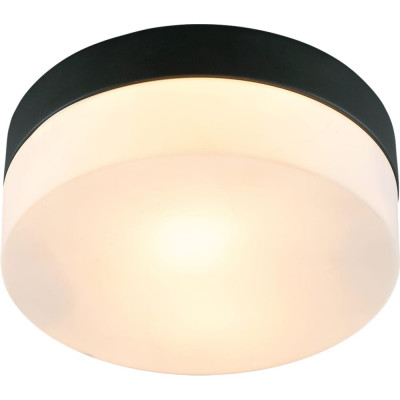 Потолочный светильник ARTE LAMP A6047PL-1BK