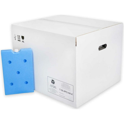 ТЕРМОЛОГИКА Термоконтейнер Т-50-XPS-HK-K для трансп. и врем. хранения мед. преп. 4660222130167