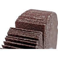 Круг лепестковый радиальный универсальный 125x20 мм, М14, Р60 Totflex 4631163848039