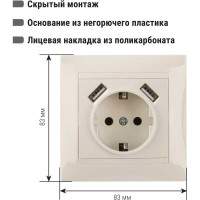 Розетка TDM ELECTRIC Лама 2П+З 16А 250В + 2 USB порта 2,1А 5В слоновая кость SQ1815-0142
