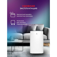 Осушитель воздуха Royal Clima CARISMA Loft RD-CR20-E