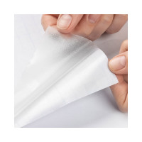 Пленка самоклеящаяся витражная Рыжий кот 0,45x2м, матовый прозрачный 104322