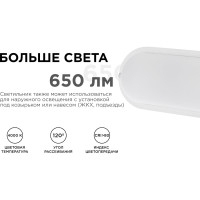 Светодиодный герметичный светильник Apeyron 8Вт, 650Лм, 4000К, IP65, овал, матовый белый 28-03