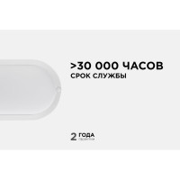 Светодиодный герметичный светильник Apeyron 8Вт, 650Лм, 6500К, IP65, овал, матовый белый 28-04