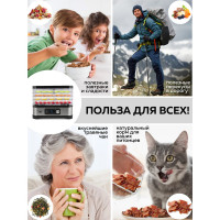 Электрическая сушилка для овощей и фруктов GFGRIL GFD-001