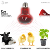 Инфракрасная лампа ЭРА ИКЗК 230-60 R63 Е27 для обогрева животных 60 Вт Е27, Б0057281