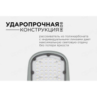 Уличный светодиодный консольный светильник Apeyron 50Вт, 5500 лм, 5000 К, IP65, КСС -Ш, 420x200x70мм / 29-02
