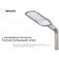 Уличный светодиодный консольный светильник Apeyron 100 Вт, 11000 лм, 5000 К, IP65, КСС -Ш, 495x215x80мм / 29-04