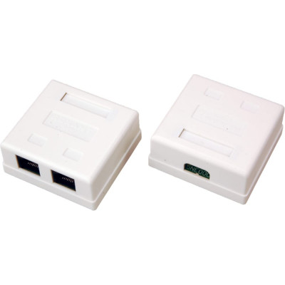 REXANT Розетка сетевая LAN, на стену, 2 гнездо RJ-45 (8Р8С), 5e кат 06-0105-C
