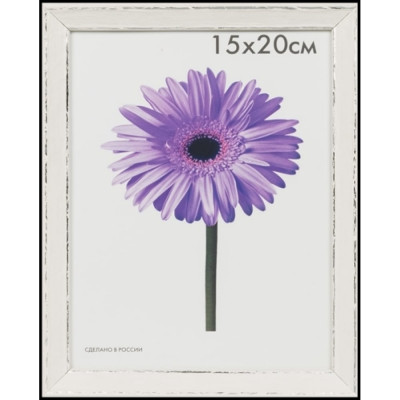 Пластиковая рамка ООО Изометрика Viola 0118-16-4509