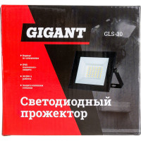 Gigant Светодиодный прожектор 30W 6400К 220V. GLS-30