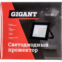Gigant Светодиодный прожектор 30W 6400К 220V. GLS-30