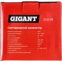 Gigant Светодиодный прожектор 30W 6400К 220V. GLS-30