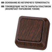 Одноклавишный выключатель TDM ELECTRIC открытой установки 10А бук Ладога SQ1801-0027