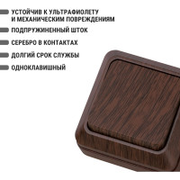 Одноклавишный выключатель TDM ELECTRIC открытой установки 10А бук Ладога SQ1801-0027