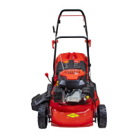 Бензиновая газонокосилка DDE LM 46-60 246-630