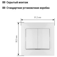 Двухклавишный выключатель TDM ELECTRIC 10А белый Таймыр SQ1814-0002