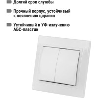 Двухклавишный выключатель TDM ELECTRIC 10А белый Таймыр SQ1814-0002
