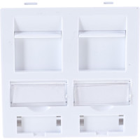 Вставка LANMASTER 45x45 на 2 кейстоуна, со шторкой, маркировкой, иконками, белая,