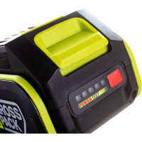 Аккумулятор Professional 20В, 4.0Ач WORX WA3016