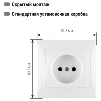 Розетка, белая 2П 10А 250В TDM ELECTRIC Таймыр SQ1814-0011