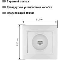 Телефонная розетка, белая RJ11 TDM ELECTRIC Таймыр SQ1814-0020