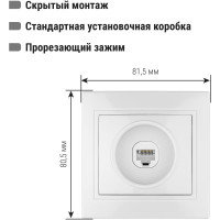 Компьютерная розетка, белая RJ45 TDM ELECTRIC Таймыр SQ1814-0021