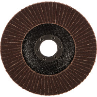 Круг лепестковый торцевой (125х22.2 мм; P100) MATRIX 74047