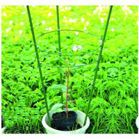 Поддержка для цветов 3 кольца 60см GREEN APPLE Б0008276