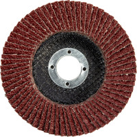 Круг лепестковый торцевой (P60; 125x22.2 мм) MATRIX 74043