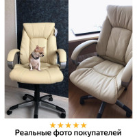 Компьютерное офисное кресло руководителя BRABIX Maestro EX-506, с подлокотниками, эко кожа 531168