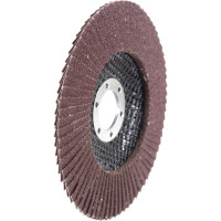 Круг лепестковый торцевой (125х22.23 мм; Р100) REDVERG 6624176