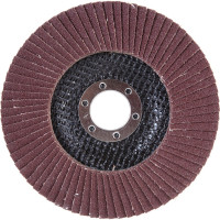 Круг лепестковый торцевой (125х22.23 мм; Р100) REDVERG 6624176