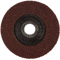 Круг лепестковый торцевой (125х22.23 мм; Р40) REDVERG 6624173