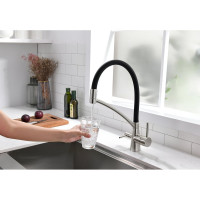 Смеситель для кухни Paulmark SIEGEN, брашированная сталь,  Si213111-BS