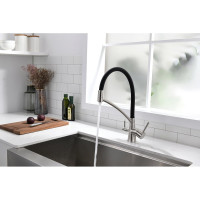 Смеситель для кухни Paulmark SIEGEN, брашированная сталь,  Si213111-BS