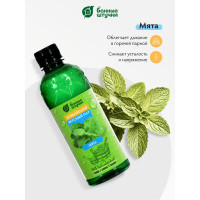 Ароматизатор Банные Штучки Вкусный пар Мята, 350мл 32228