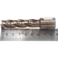Сверло корончатое (14х55 мм; Weldon 19) Karnasch 20.1270U-014