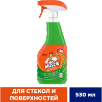 Средство для стекол и поверхностей МИСТЕР МУСКУЛ 530 мл Утренняя роса 865032