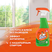 Средство для стекол и поверхностей МИСТЕР МУСКУЛ 530 мл Утренняя роса 865032