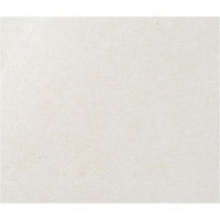 Пад для поломоечных машин 17" (категория А) OZONE PAD-A17WHITE