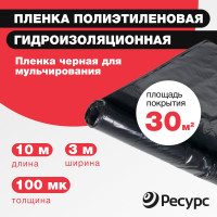 Пленка Ресурс черная, 100 мкм, 3х10 м 10056